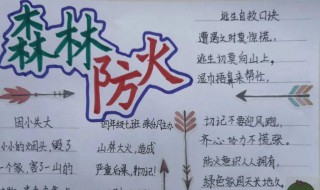 关于森林防火的手抄报 关于森林防火的手抄报内容