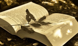 眼睛的拼音怎么写 大大的眼睛的拼音怎么写