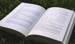 菊花的拼音怎么写（玉米的拼音怎么写）