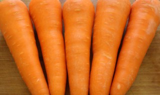 大红萝卜的做法大全(大红萝卜的做法大全凉菜)