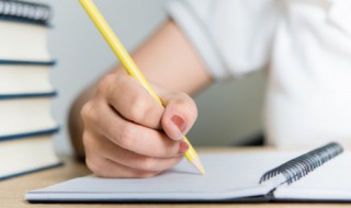 什么拼音怎么写（臻读什么拼音怎么写）