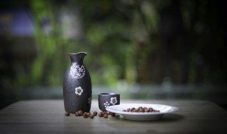 将进酒歌词 将进酒歌曲简介