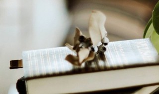 核的多音字组词（核的多音字组词和拼音）