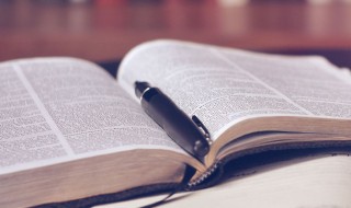 笨拙拼音怎么读 笨拙拼音和意思