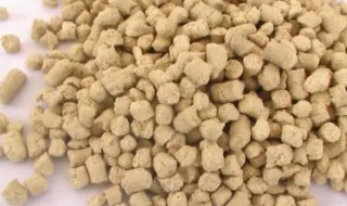 自制猫砂怎么做 怎样自制猫砂