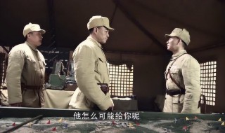 老虎队剧情介绍（老虎队剧情介绍大结局）