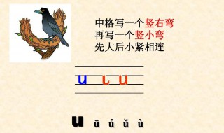 u拼音怎么写（拼音怎么写26个字母）