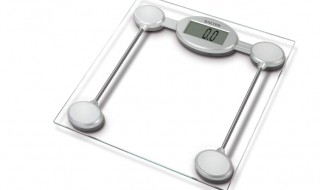 磅怎么读 磅怎么读组词