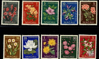 邮票的拼音怎么写 邮票的拼音怎么写的拼