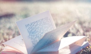 主你是我最知心的朋友歌词 主你是我最知心的朋友歌词歌谱