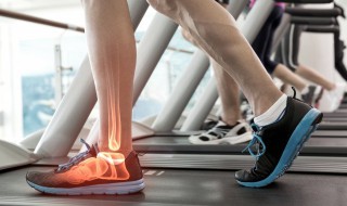 腓骨怎么读 跗骨怎么读