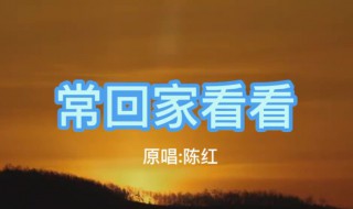 常回家看看原唱歌词（常回家看看原唱歌词歌曲）