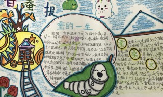 关于蚕的手抄报大全（关于蚕的手抄报大全简单又漂亮又有些简单的字）