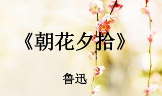 关于朝花夕拾的手抄报 关于朝花夕拾的手抄报 初一