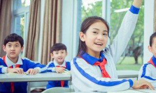 关于菊花的手抄报（关于菊花的手抄报又简单又漂亮）