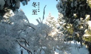 冬至日是哪天（2024冬至日是哪天）