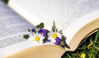 魔域好听又霸气的名字 魔域好听又霸气的名字男