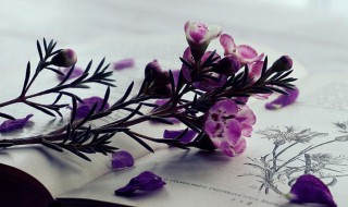 炫舞名字女生独一无二（炫舞名字女生独一无二两个字）