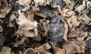 干木耳泡多久才合适（干木耳要泡多久合适）