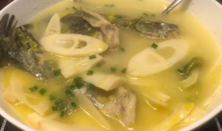 鱼通乳汤的做法 催乳鱼汤的做法大全