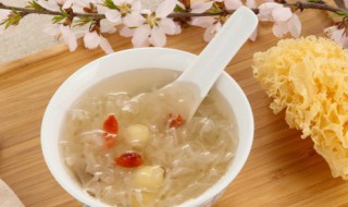 银耳种子怎么来的（银耳有种子吗）