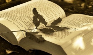 经典微信名字（经典微信名字大全男）