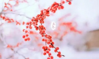 立冬节气南方谚语(南方立冬谚语大全)