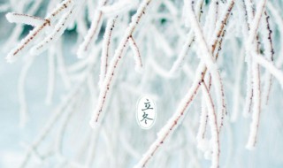 冬至是个什么样的节气 冬至是个什么样的节气呢