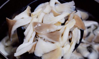 白汁鲜蘑的做法（白汁鲜蘑的做法大全）