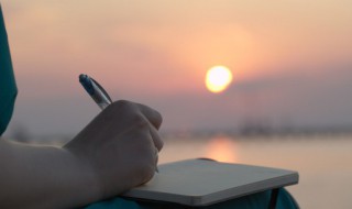 狐狸的拼音怎么写 狐狸的拼音怎么写的字