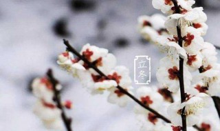 关于立冬节气的祝福语 关于立冬节气的祝福语有哪些