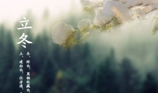 2021立冬是什么节日（2021年立冬是几月份）