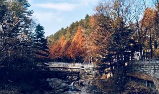 2021立冬气候特点是啥（2021年立冬节气）