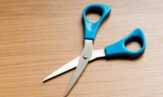 熊童子怎么修剪方法 熊童子怎么剪枝