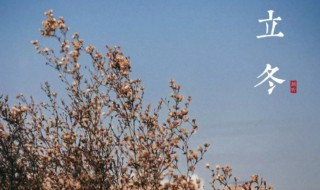 关于立冬的由来是什么(立冬是怎么由来的)