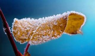 2021立冬是什么季节的节气 2021几月立冬