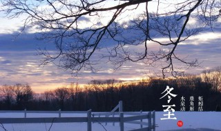 写冬至的文章(写一篇关于冬至的文章)