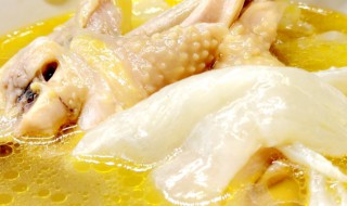 美味清炖鸡的做法 清炖鸡的做法大全