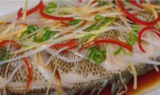 美味清蒸鲈鱼的做法（清蒸鲈鱼的做法!）