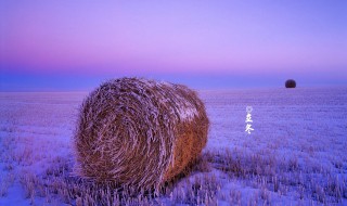 2021立冬是几月几日星期几 2021年立冬是几月几号几点