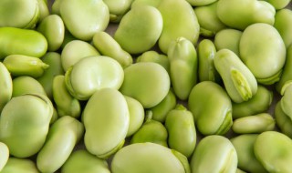 蚕豆皮怎么剥容易（怎样剥蚕豆皮）