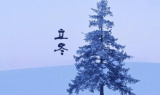 立冬节气的来历以及习俗 立冬节气的由来
