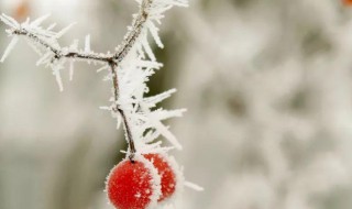 2021年立冬是干什么的 2021年立冬是什么日子