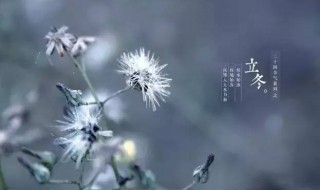 关于立冬的一些优美句子（关于立冬的一些优美句子短句）