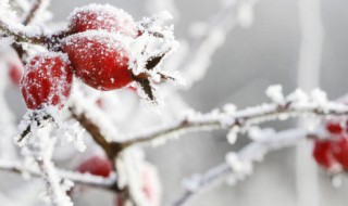 关于立冬后的感言大全(立冬感言应该怎样写)