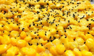 黄金玉米豆做法 黄金玉米豆做法窍门