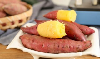 红薯种子怎么来的（红薯的种子是什么样子）