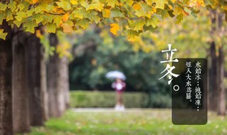 2021立冬朋友圈祝福语（2021立冬朋友圈祝福语大全）