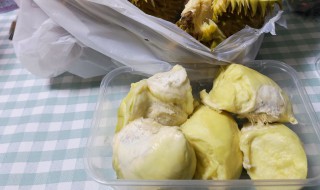 榴莲怎么发芽快（榴莲怎样发芽）