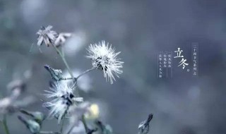 2021年什么时候立冬（2021年什么时候立冬什么时候冬至）